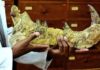Hidden mysteries lie in wait inside Kenya’s fossil treasury The 23-million-year-old bones of the newly-discovered giant, Simbakubwa kutokaafrika, had been left for nearly 40 years in a drawer