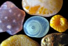 Magnified Sand : Magnified Photos Shows How Sand Looks like Magnified sand grains Sand that is magnified up to 300 times