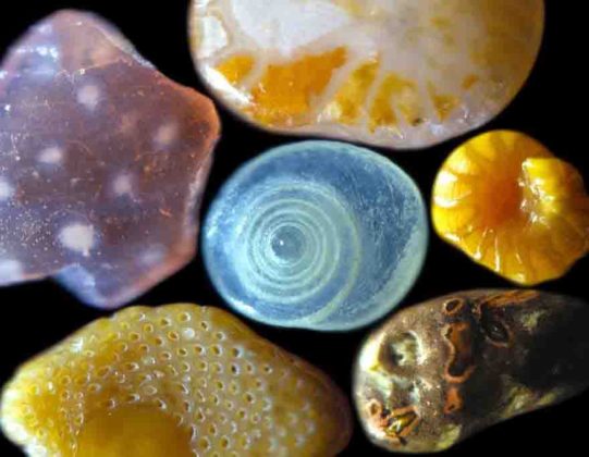 Magnified sand grains Sand that is magnified up to 300 times