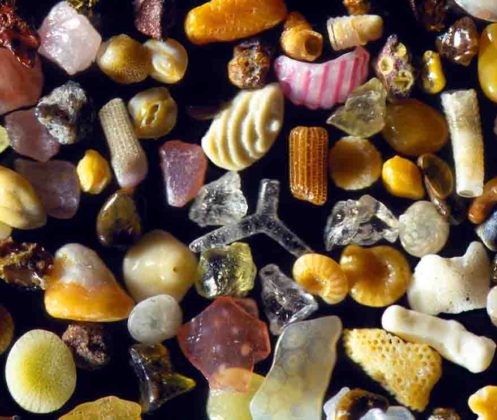 Magnified sand grains Sand that is magnified up to 300 times