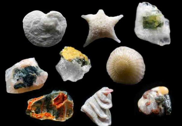 Magnified sand grains Sand that is magnified up to 300 times
