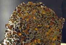 Meteorite contains the oldest material on Earth: 7-billion-year-old stardust An example of a Pallasite meteorite (from the Esquel fall) on display in the Vale Inco Limited Gallery of Minerals at the Royal Ontario Museum.