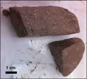 The 21 shocked and unshocked zircon crystals dated in this study were separated from this ~30 cubic centimeters of unconsolidated late Eocene sediment obtained from Ocean Drilling Project site 1073, hole A. Credit: Biren/ASU