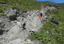 Rock scratches hint at future quakes Jesse leaning against the fresh fault scarp of the Kekerengu fault, next to some of the curved slickenlines. Credit: Professor Tim Little
