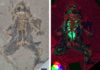 Scientists discover new way to reconstruct what extinct animals looked like Fig. 1. 10 million-year-old fossil frog from Libros, Spain and X-ray map showing elevated levels of copper and zinc in the internal organs. Fossil photograph copyright the Natural History Museum, London. X-ray fluorescence map. Credit: Valentina Rossi