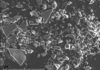 Synchronization of ice cores using volcanic ash layers An electron scanning microscope picture of an ash sample from a 55,500 years old ash layer in the NGRIP ice core. The ash shards are the larger pieces that look like broken glass. The colours are not true. The white bar at the bottom left represents 1/10 mm. Credit: University of Copenhagen