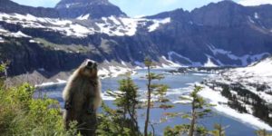 Glacier National Park