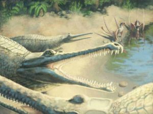 Jurassic crocodile. Artist's impression (credit: Julia Beier)