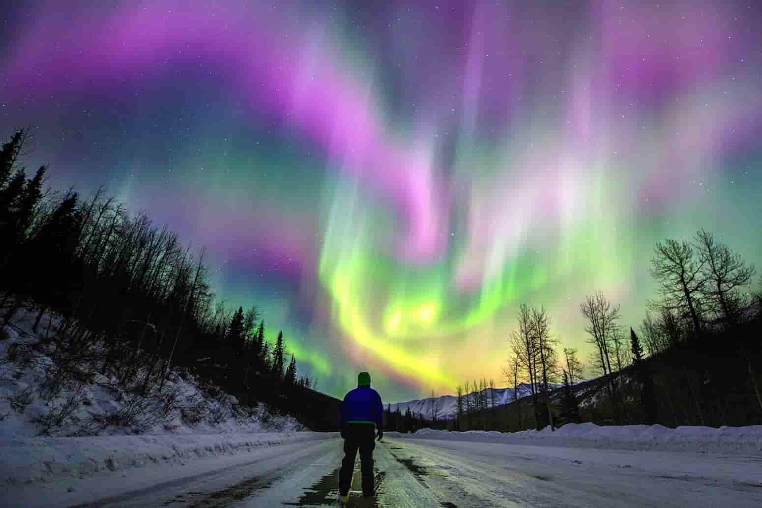 Trip To See Northern Lights 2024 - Gena Nikoletta