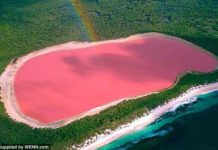 Pink Lake : What is Pink Lake? What causes Pink Lake in Australia? Pink Lake, Australia