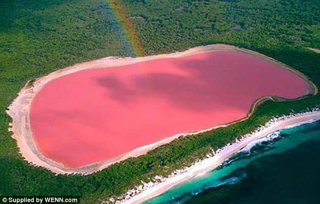 Pink Lake : What is Pink Lake? What causes Pink Lake in Australia? |  Geology Page