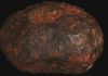 Scientists Confirm The Discovery of a Mineral Never Before Seen in Nature The Wedderburn meteorite. (Museums Victoria/CC BY 4.0)