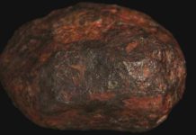 Scientists Confirm The Discovery of a Mineral Never Before Seen in Nature The Wedderburn meteorite. (Museums Victoria/CC BY 4.0)