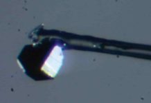 Student discovers unusual new mineral inside a diamond A tiny sample of goldschmidtite found inside a diamond by U of A PhD student Nicole Meyer. The newly discovered mineral has high concentrations of elements seldom found in Earth’s mantle, suggesting it formed under extreme conditions. Credit: Nicole Meyer