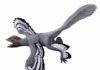 What color were fossil animals? A life reconstruction of the feathered dinosaur Anchiornis huxleyi based on fossil evidence of its color and patterning. This evidence included inferences about melanin pigments. Credit: HKU MOOC / Julius T Csotonyi / Michael Pittman.