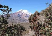 Why is Earth so biologically diverse? Mountains hold the answer The volcano Chimborazo, Ecuador, that Alexander von Humboldt surveyed in 1802. Photo: Spyros Theodoridis/CMEC