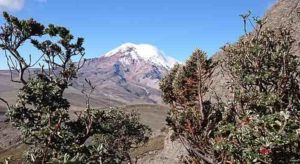 The volcano Chimborazo, Ecuador, that Alexander von Humboldt surveyed in 1802. Photo: Spyros Theodoridis/CMEC