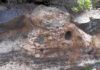 A new study determines the influence of the topography over small-volume pyroclastic flows emplacement A panoramic view of one of the Arico ignimbrite outcrops where the two units can be seen.(Image: Joan Martí)