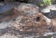 A new study determines the influence of the topography over small-volume pyroclastic flows emplacement A panoramic view of one of the Arico ignimbrite outcrops where the two units can be seen.(Image: Joan Martí)