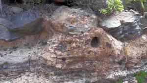 A panoramic view of one of the Arico ignimbrite outcrops where the two units can be seen.(Image: Joan Martí)