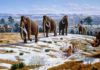 Humans hastened the extinction of the woolly mammoth Woolly mammoth illustration Mauricio Antón © 2008 Public Library of Science