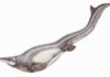 Did mosasaurs do the breast stroke? Plotosaurus bennisoni is a mosasaur from the Upper Cretaceous (Maastrichtian) North America. Restoration illustration from Wikimedia Commons, CC BY 3.0.