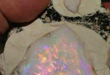 Geyser Opal “Spencer Opal”: What is Geyser Opal? How it Formed? Geyser Opal "Spencer Opal"