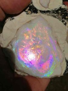 Geyser Opal "Spencer Opal"