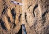 Jurassic dinosaurs trotted between Africa and Europe Photograph of the traces analyzed: : Megalosauripus transjuranicus (A) y Jurabrontes transjuranicus (B). Credit: Matteo Belvedere et al.