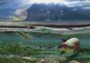 The earliest well-preserved tetrapod may never have left the water The Sosnogorsk lagoon just before a deadly storm. Credit: Mikhail Shekhanov for the Ukhta Local Museum