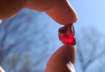 Top Spots For Gem Hunting In California Garnet. Credit: Cherokee Ruby Mine