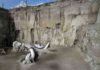 Huge trove of mammoth skeletons found in Mexico Mammoth bones are pictured in Tultepec, Mexico in this handout photograph released by Mexico's National Institute of Anthropology (INAH)