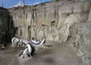 Mammoth bones are pictured in Tultepec, Mexico in this handout photograph released by Mexico's National Institute of Anthropology (INAH)