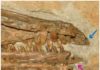New finding on origin of avian predentary in Mesozoic birds The pink arrow points to the predentary and the blue arrow points to the upper portion of the jaw, which has no teeth. Together, they may have been covered by a keratinous beak, and the predentary was most likely mobile Credit: IVPP