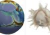 What makes the Earth’s surface move? Images of the numerical solution at the moment when a supercontinent (left, in purplish grey) begins to break up. In the image on the left, the modelled fictional planet looks much like the Earth: its surface and mantle move spontaneously, at speeds close to those observed on Earth. The distribution of the plates (some of which are large, while many are small) is also similar, as is the topography: red hues represent shallow regions of the ocean (ridges), while blue indicates the deep seafloor. The deepest blue areas correspond to subduction trenches (where a plate is sinking into the mantle). The continents are shown in translucent white (and therefore appear purplish grey).The image on the right shows warm currents (plumes) rising from the bottom of the mantle. Credit: Nicolas Coltice