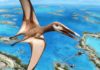 95-million-year-old fossil reveals new group of pterosaurs New research is shedding light on how and where ancient flying reptiles called pterosaurs lived. Credit: Julius Csotonyi