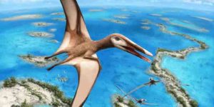 New research is shedding light on how and where ancient flying reptiles called pterosaurs lived. Credit: Julius Csotonyi