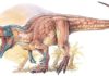 Experiments in evolution An intimidating sight: Asfaltovenator vialidadi. Source: Gabriel Lio