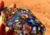 Opalized “Petrified” Wood Rough Koroit opal " Opalized wood " from Victoria, Australia.