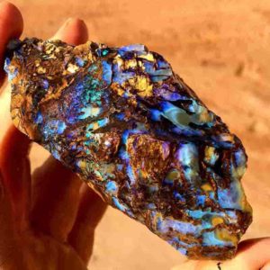  Rough Koroit opal " Opalized wood " from Victoria, Australia.