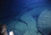 Researchers discover a new, young volcano in the Pacific A new petit-spot volcano at the oldest section of the Pacific Plate Credit: Tohoku University