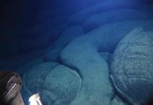 Researchers discover a new, young volcano in the Pacific A new petit-spot volcano at the oldest section of the Pacific Plate Credit: Tohoku University