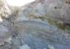 When flowers reached Australia Rocks containing microscopic fossil pollen were collected to determine the age of fossil leaves from Castle Cove, Otway Ranges, Victoria.