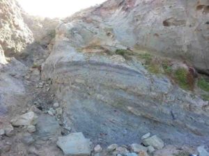 Rocks containing microscopic fossil pollen were collected to determine the age of fossil leaves from Castle Cove, Otway Ranges, Victoria. 