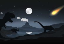 Illustrated scene of dinosaurs and asteroid.