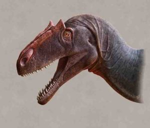 Allosaurus jimmadseni