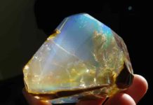 Opals in Oregon : Where to Find Opals in Oregon? Exceptional and very rare Oregon opals with precious color play.