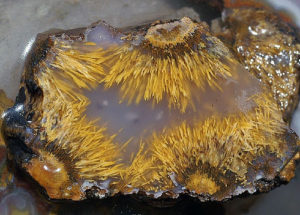 Golden Sagenite Needles in Very Clear Agate Mexico.