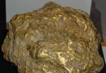 Alaska Centennial Nugget : Largest Gold Nugget Ever Found in Alaska Alaska Centennial Nugget : Largest Gold Nugget Ever Found in Alaska
