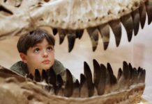 Argentine researchers find distant Tyrannosaurus relative The new dinosaur is called Tralkasaurus, which means "thunder reptile" in the indigenous Mapuche language common in Patagonia. In this file photo, a boy in Melbourne, Australia inspects the teeth of a theropod dinosaur